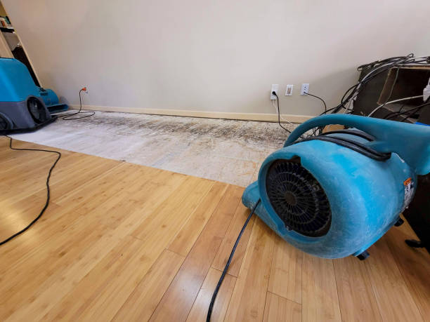 Professional Water Damage Repair technician working in Huntington Park, CA